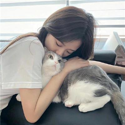 主妇之战